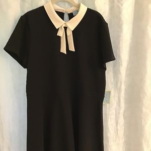Black dress CeCe, NWT, XL